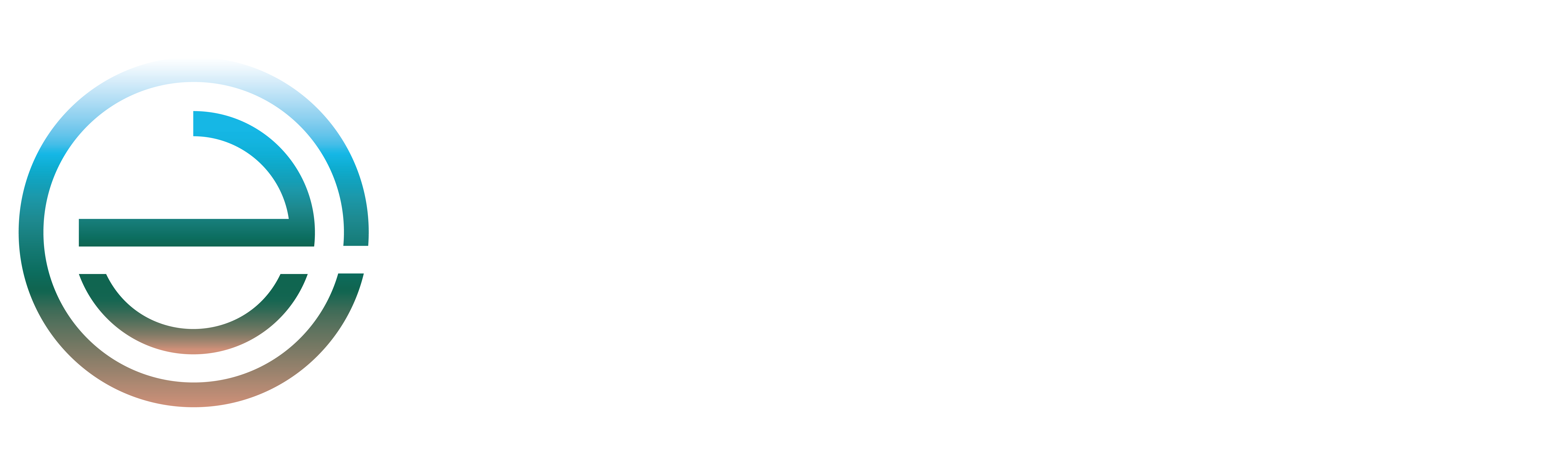 Ervinas Group